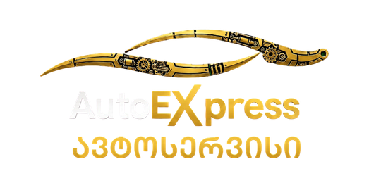 AutoExpress 111 Logo